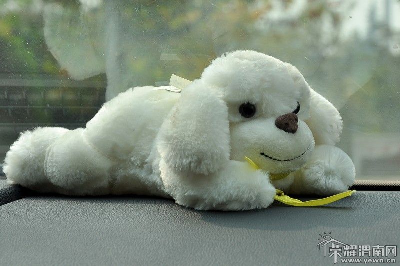 DSC_5118_��Ŀѹ��.JPG