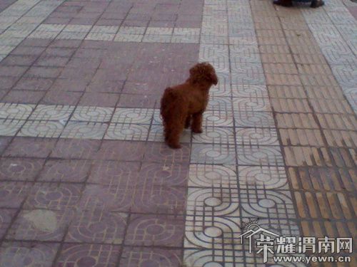 2011-10-27 17.25.09_.jpg