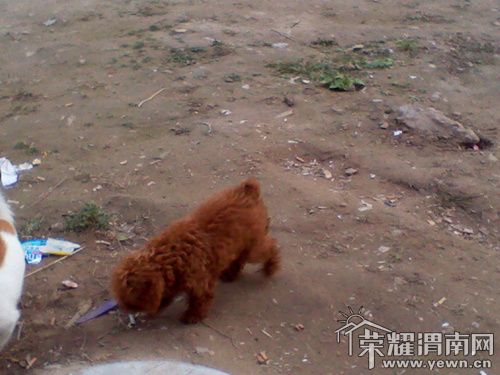 2011-10-27 17.24.18_.jpg