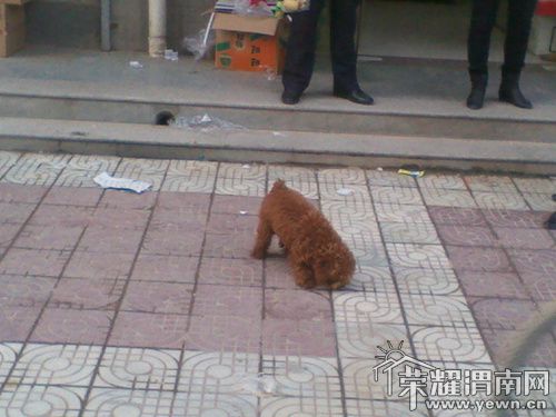 2011-10-27 17.27.01_.jpg