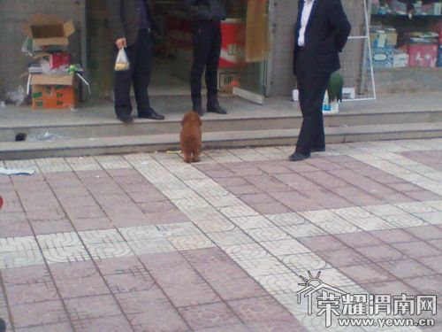 2011-10-27 17.26.46_.jpg