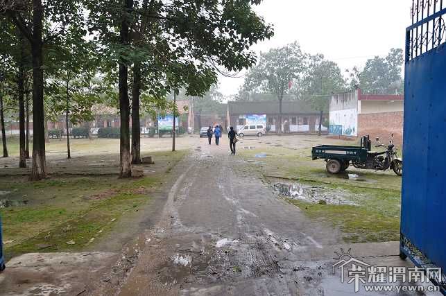 DSC_3016_��Ŀѹ��.JPG