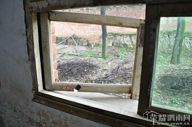 DSC_3130_��Ŀѹ��.JPG