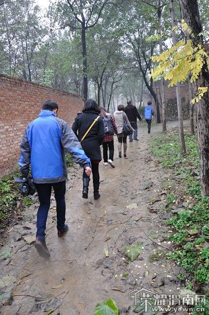 DSC_3176_��Ŀѹ��.JPG