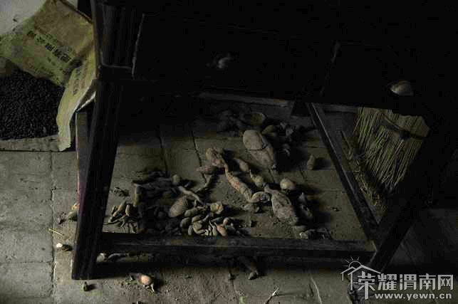 DSC_3230_��Ŀѹ��.JPG