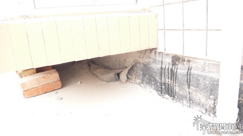 ȹ������ķ�ˮϸ������