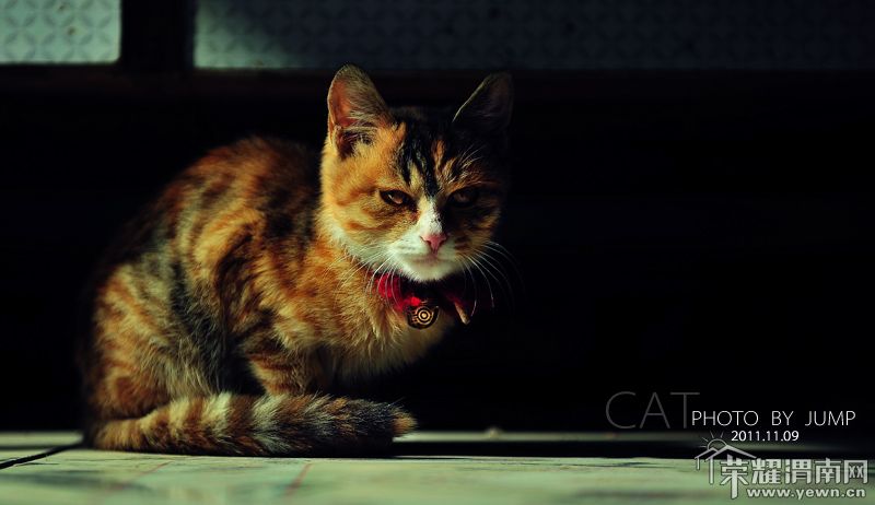 DSC_3590 ����s.JPG