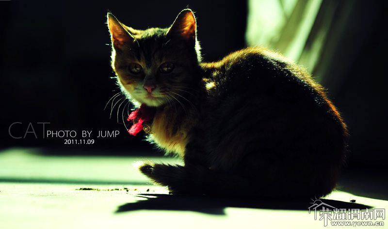 DSC_3591 ����s.JPG