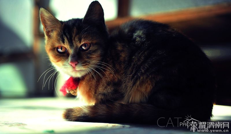 DSC_3594 ����s.jpg