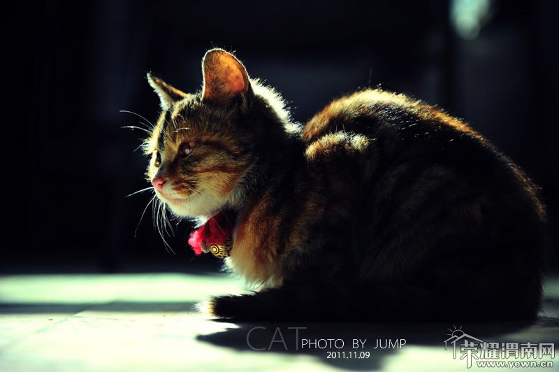 DSC_3598 ����s.JPG