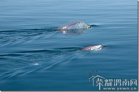 20110218124814_35164.jpg