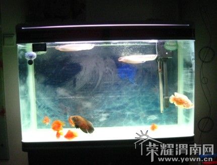 ˮΪʲô������~