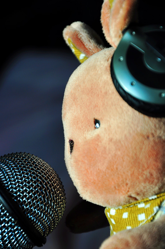 DSC_0339 (2)_����.jpg