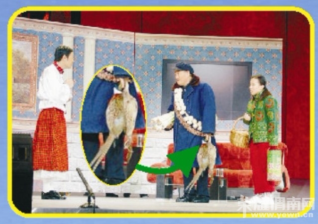 СҰ����Ģ��