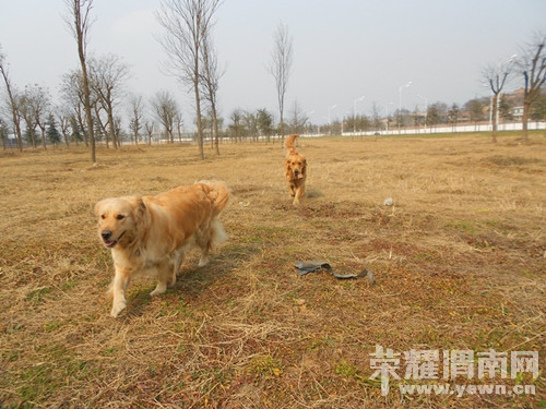 DSCN0407_����_����.jpg
