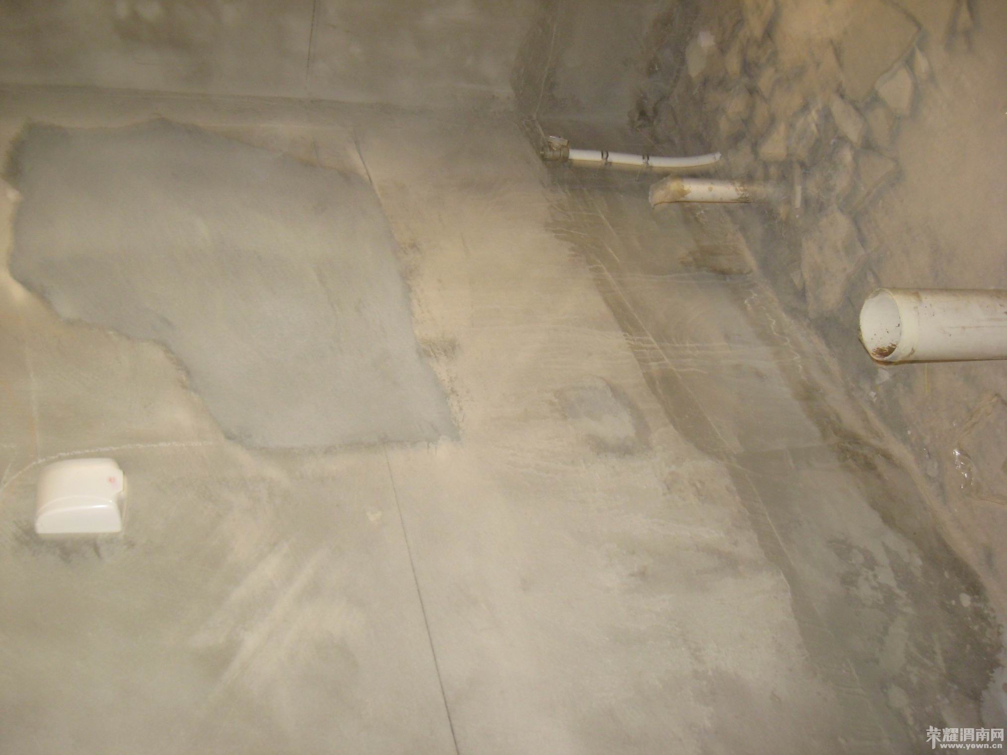 ������С IMG_8021.JPG