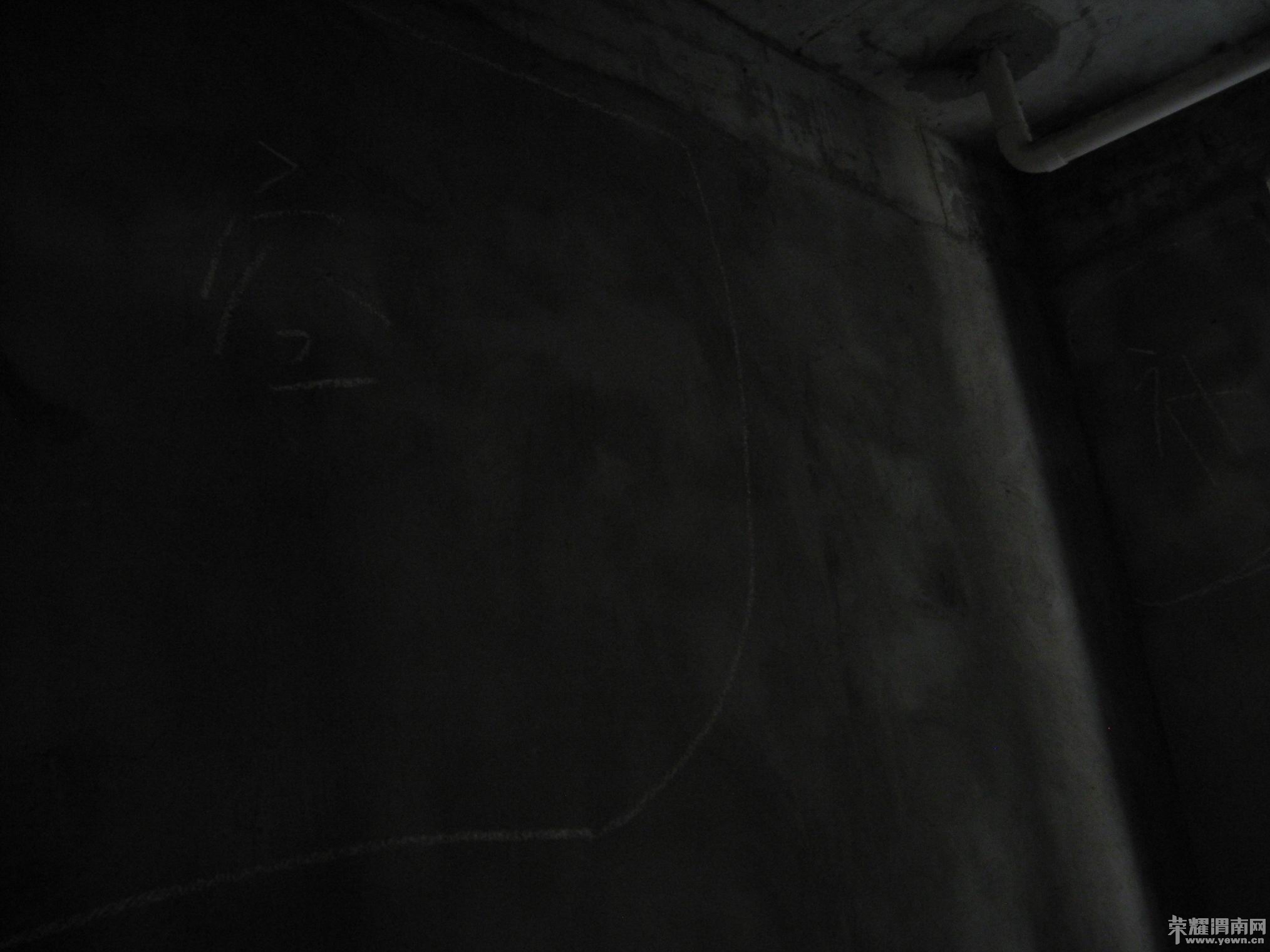 ������С IMG_8029.JPG