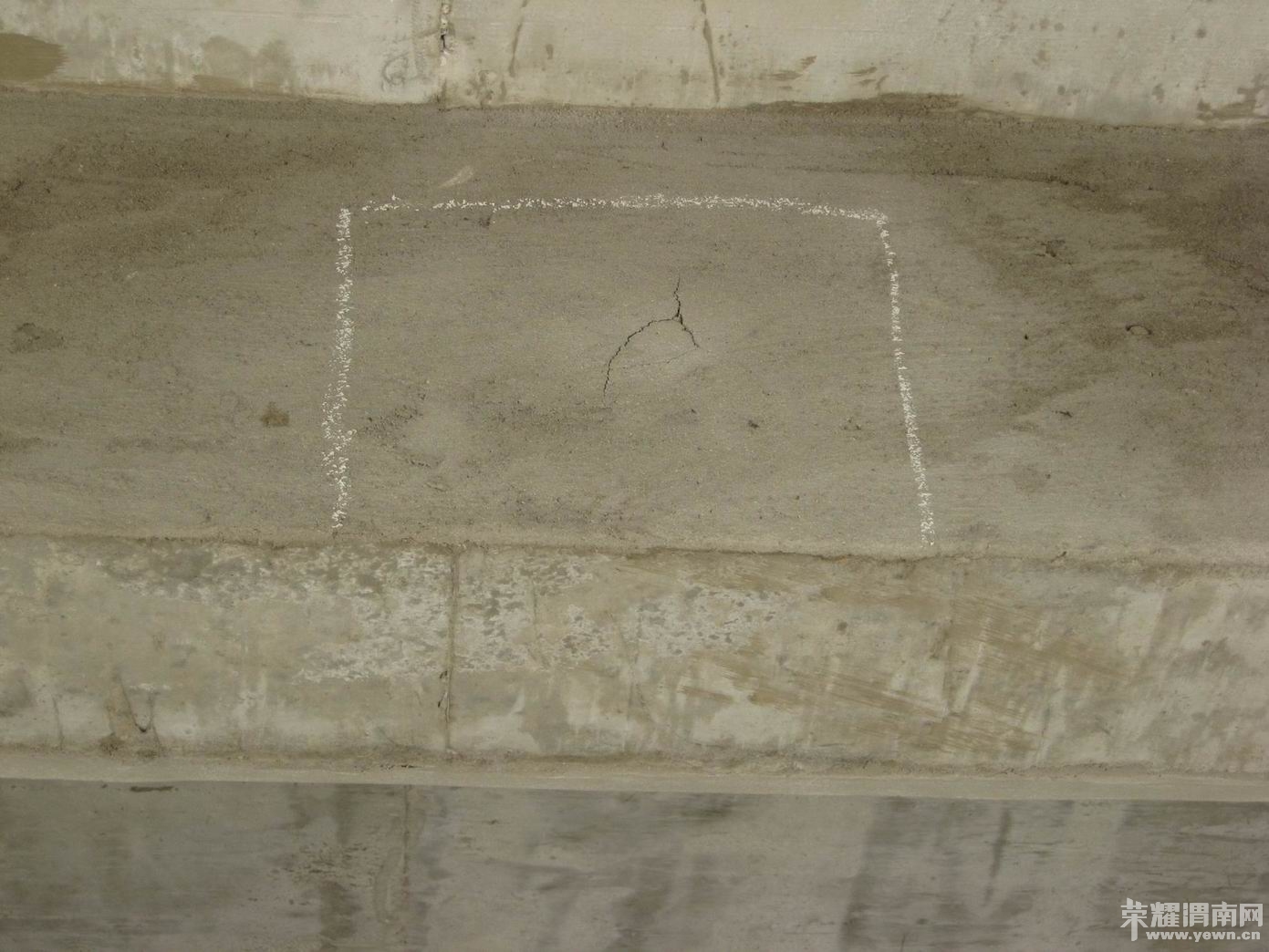 ������С ������С IMG_8002.JPG