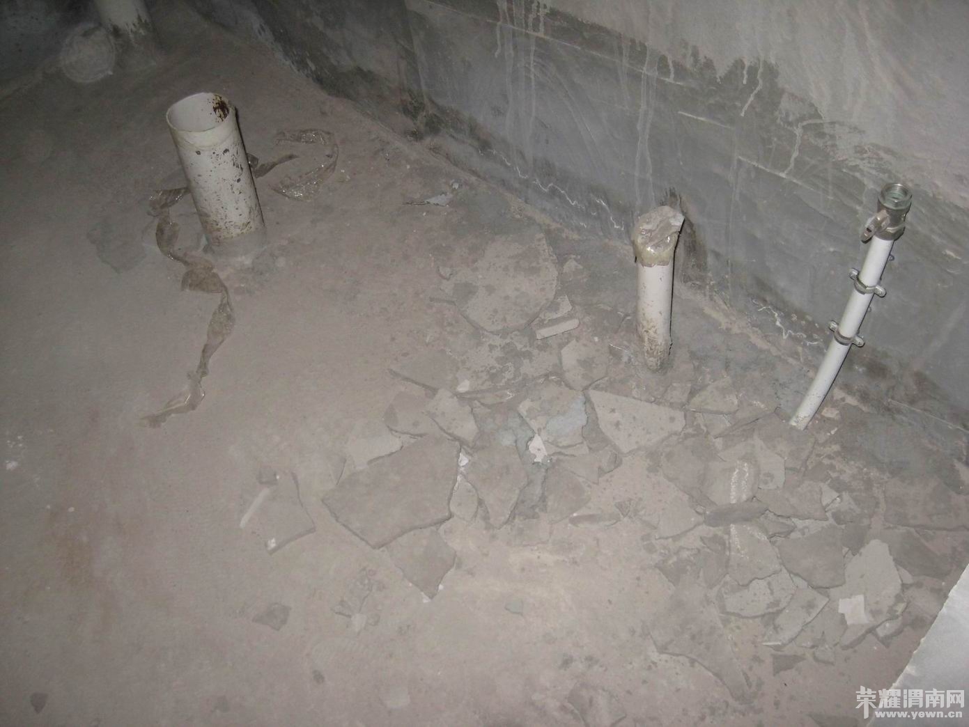 ������С ������С IMG_8031.JPG