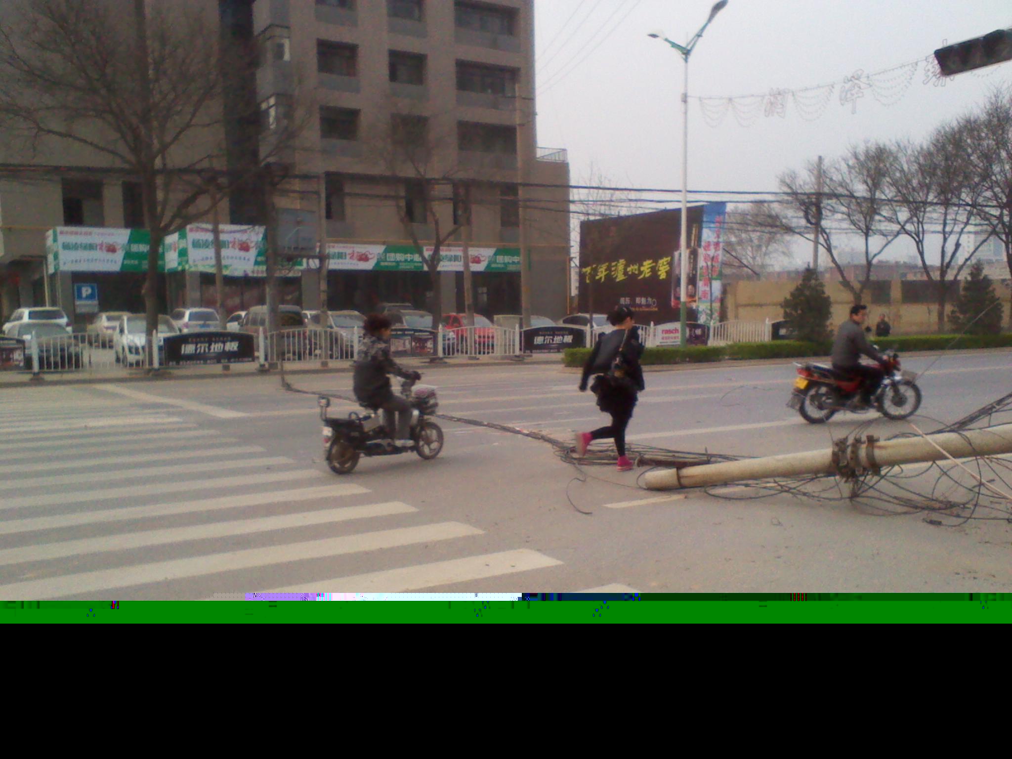 2012-04-02 07.22.16.jpg