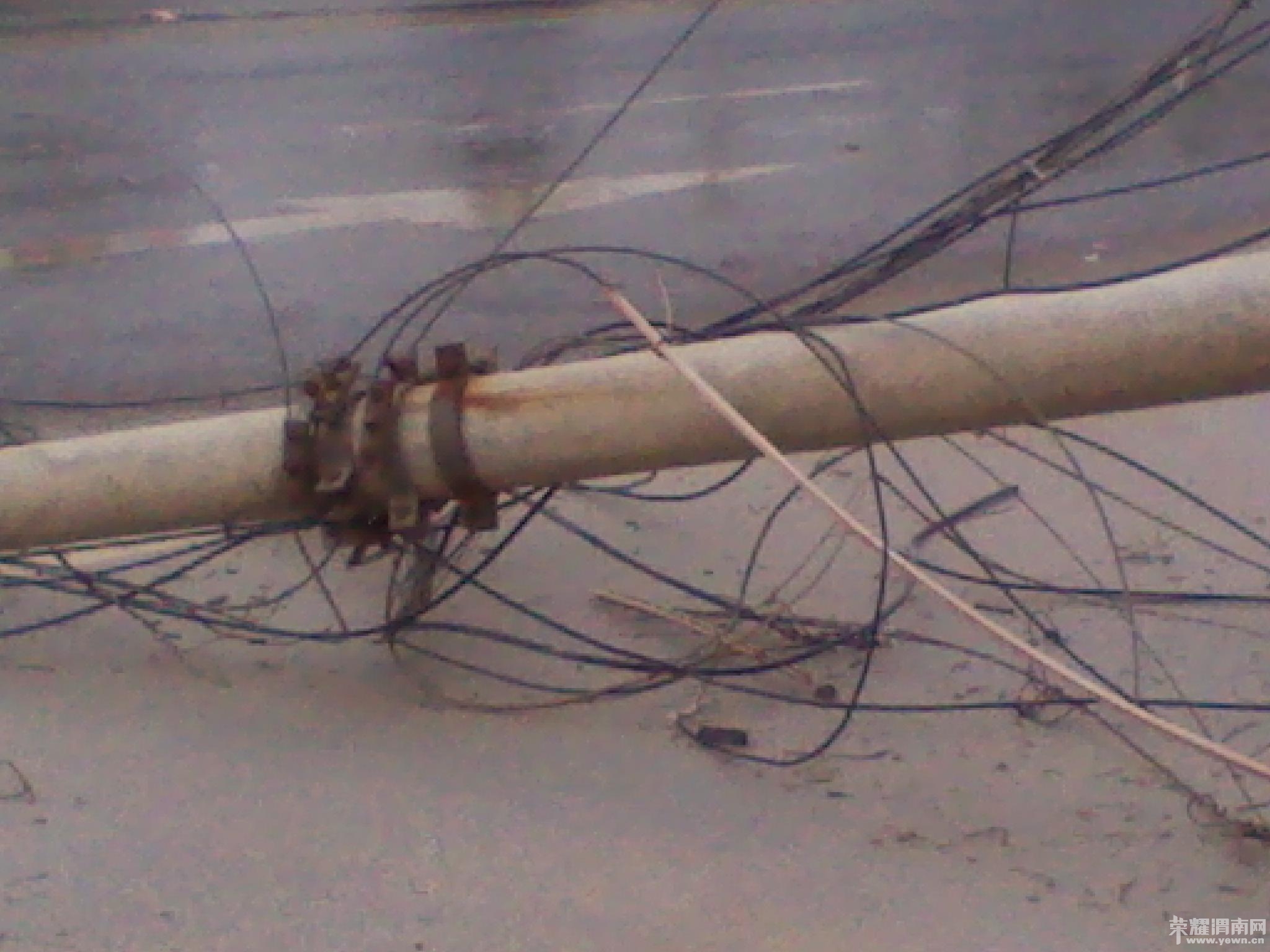 2012-04-02 07.23.36.jpg