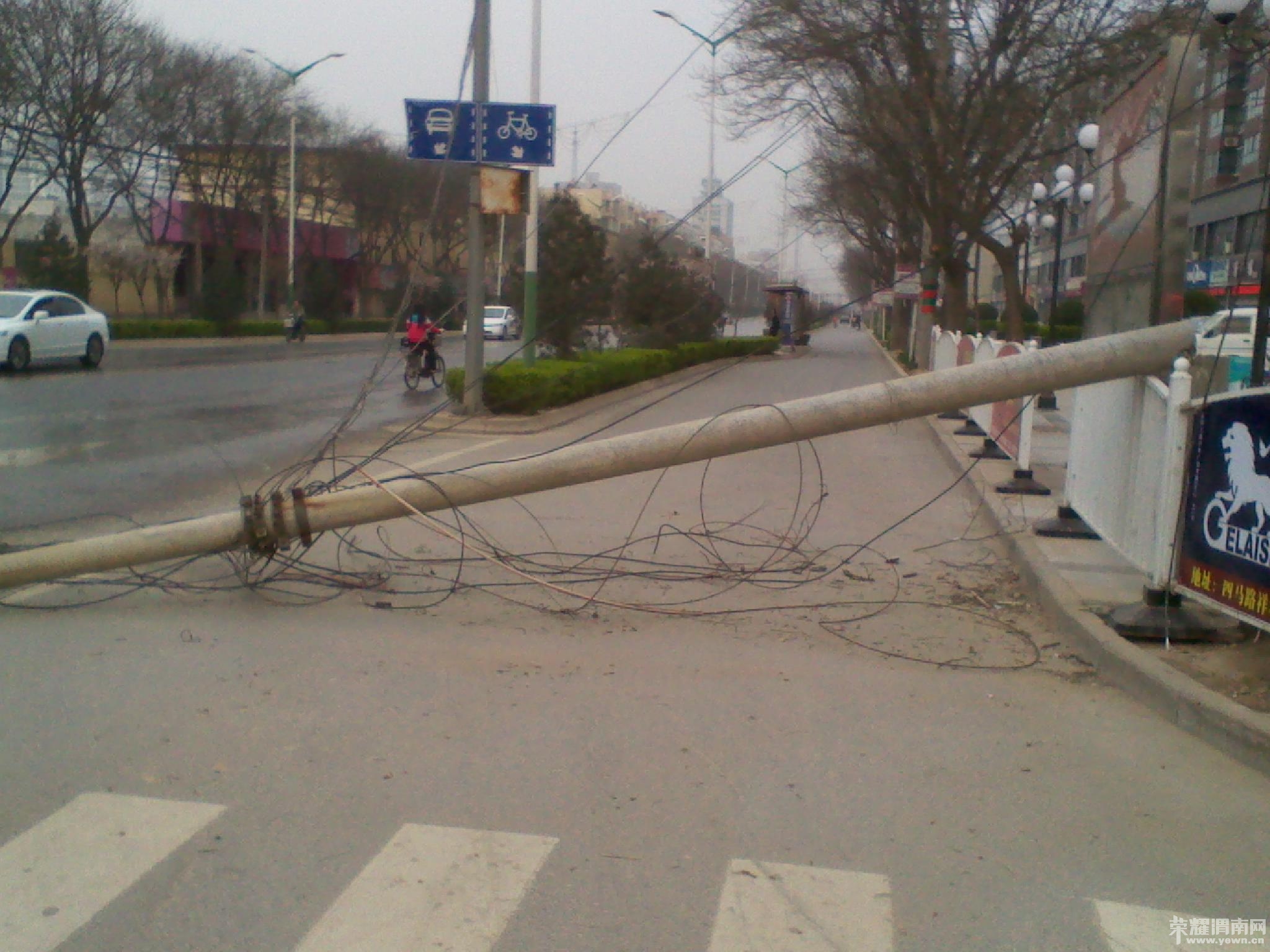 2012-04-02 07.23.54.jpg