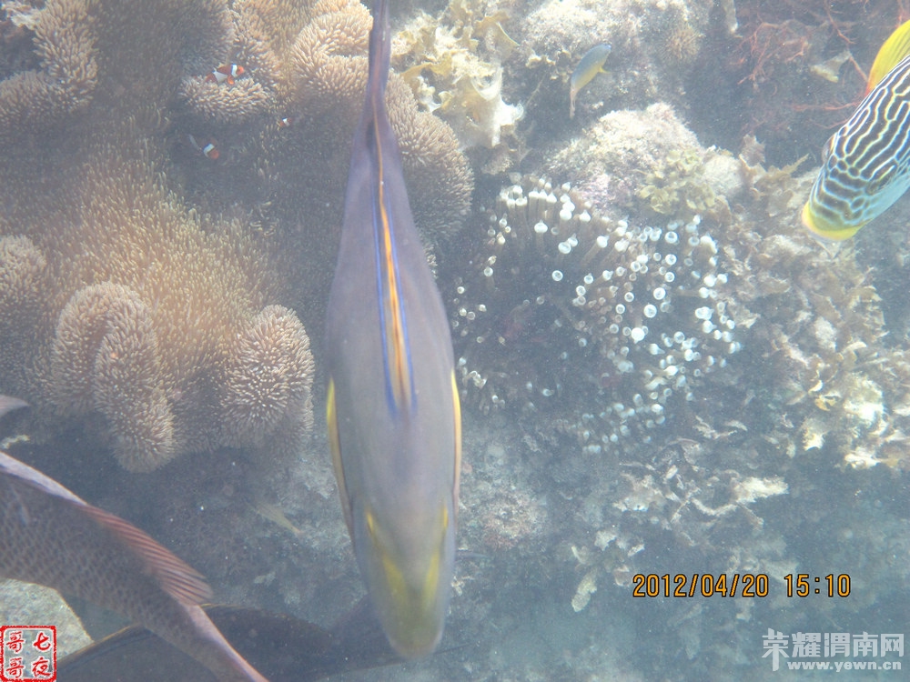 nEO_IMG_IMG_2957 (2).jpg