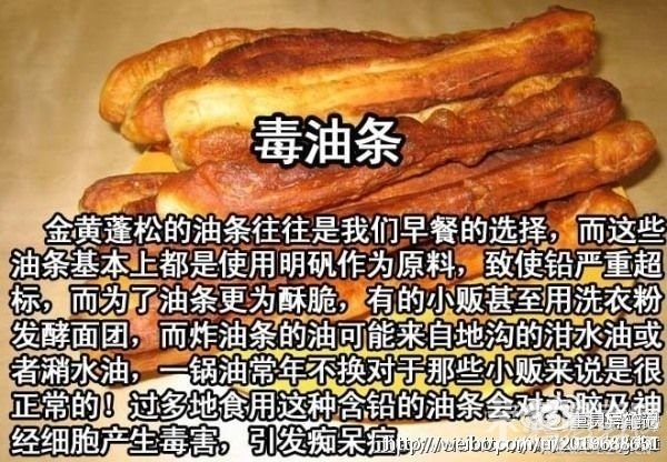 下一代人在回忆中 不会忘记的除了养育自己的先辈 还有它们