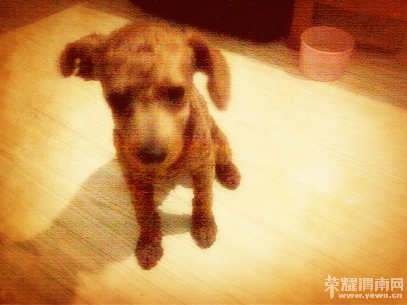 һֻ�����ϲ��������