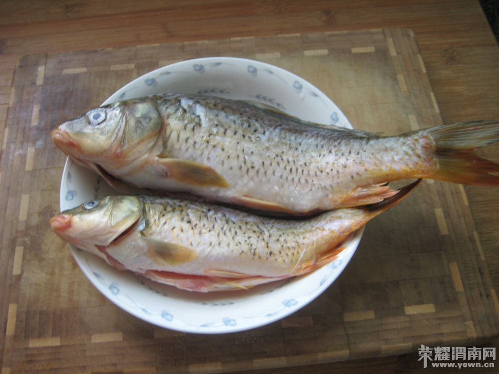 һ���Ź� 013.jpg