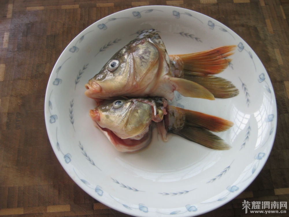 һ���Ź� 016.jpg