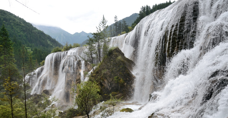 ����̲�ٲ�