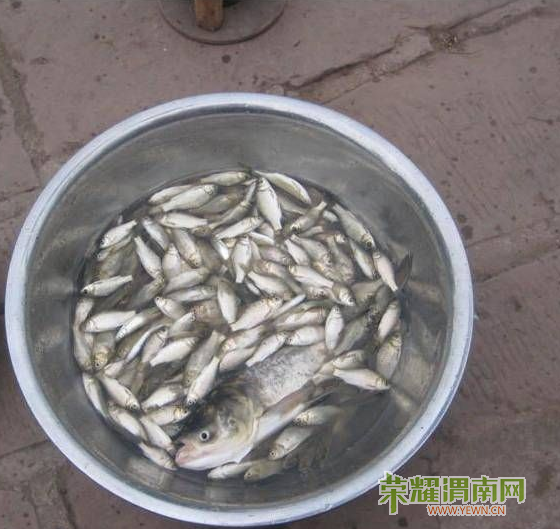 �����--����