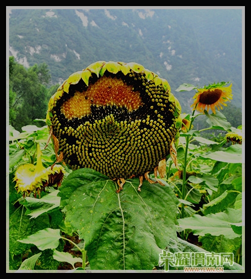 xiaoban 294_����.jpg