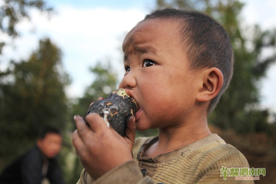 ͼΪ9��8�գ�����ʡ�������ƹ����Ǵ壬һ��С�����ŵ��ؾ���������������