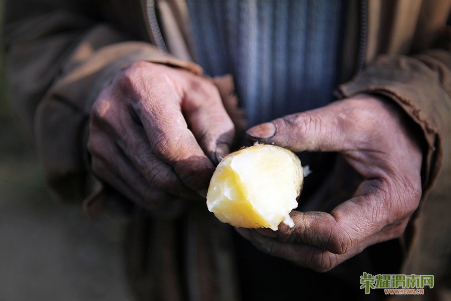 9��8�գ�����ʡ�������ƹ����Ǵ壬һ��ũ����������������������������