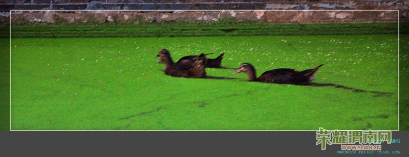 ���Ҵ� 584_����.jpg