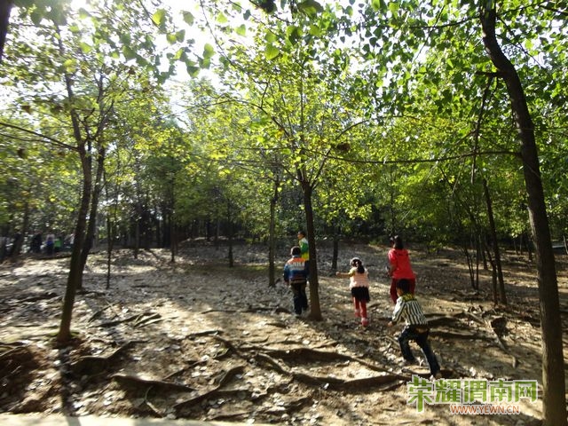 DSC00557.jpg
