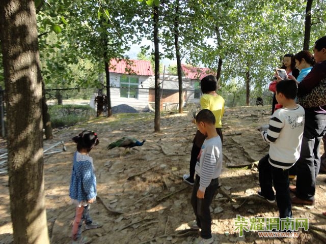 DSC00558.jpg