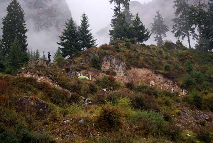 ����������ִ�ŵ���Ӱ������