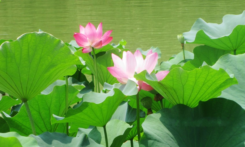 12���� 036.jpg