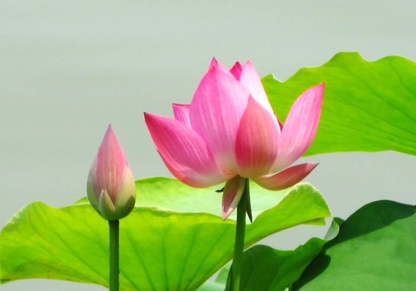 12���� 067.jpg