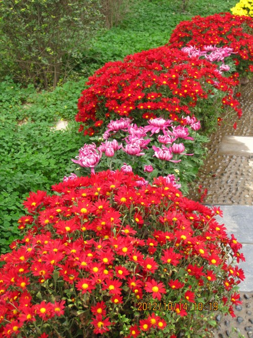 12���� 041.jpg