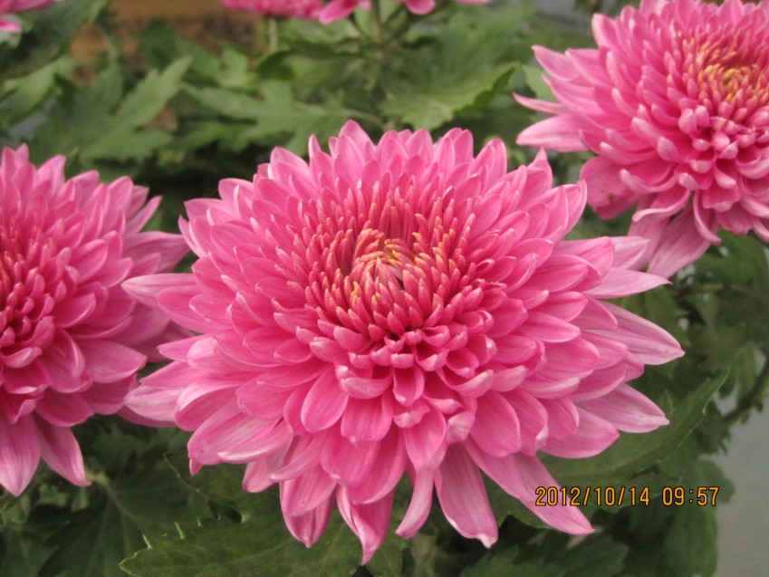 12���� 027.jpg