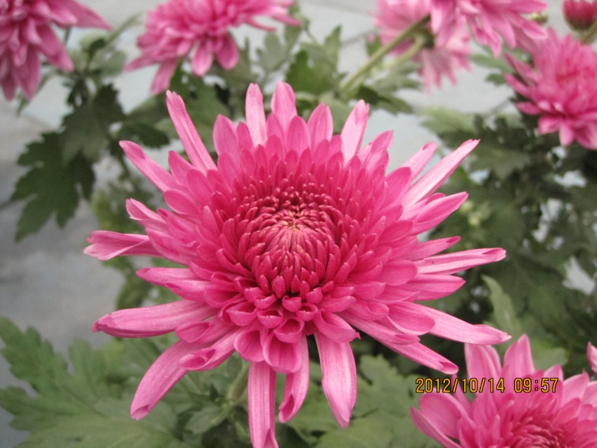 12���� 028.jpg