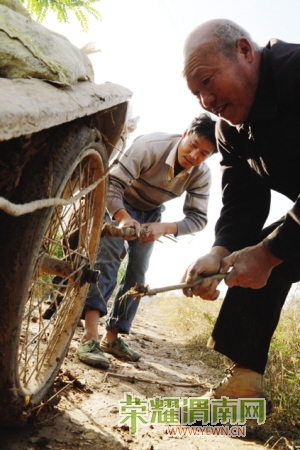58011350578772786.jpg