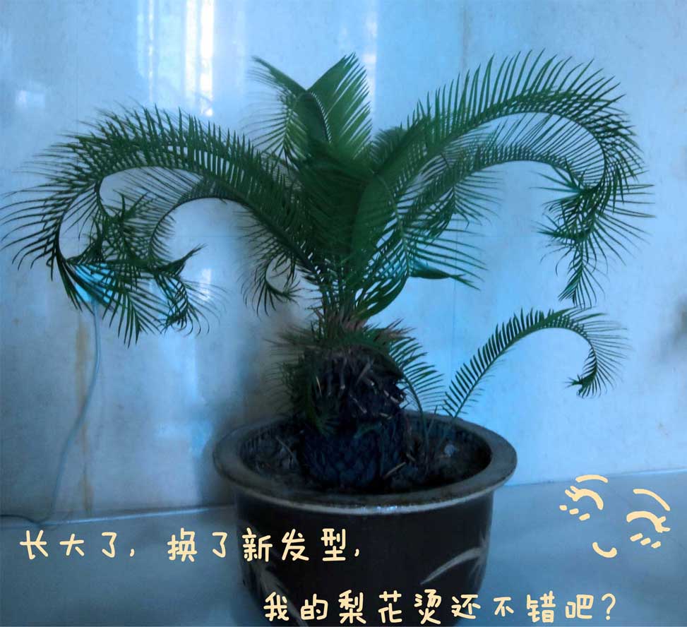 �칫�ҵ�����