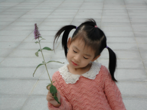 ������Щ����ţ��������