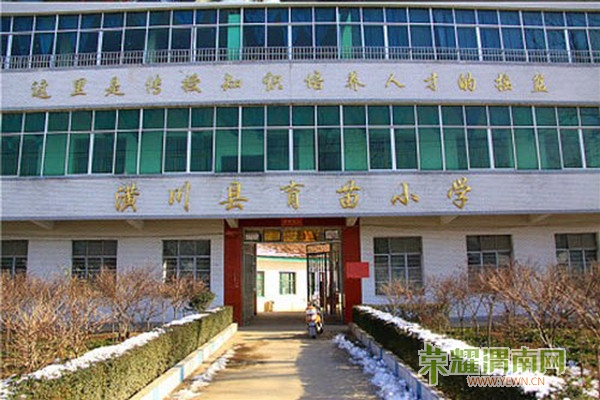 n20131110805150e3a495bd62a_original.jpg