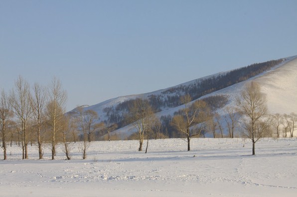 �������ϲ�ԭ